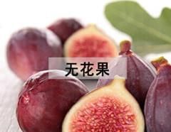产后下奶汤，让乳汁来得再多一点