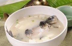 产后下奶汤，让乳汁来得再多一点
