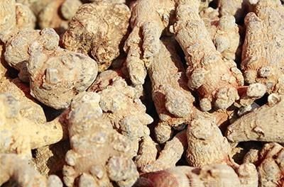 田三七的作用是什么(田三七吃了有哪些好处)图2