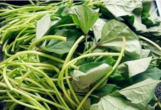 红薯梗有什么功效和作用(干红薯梗的功效与作用食用方法)图1