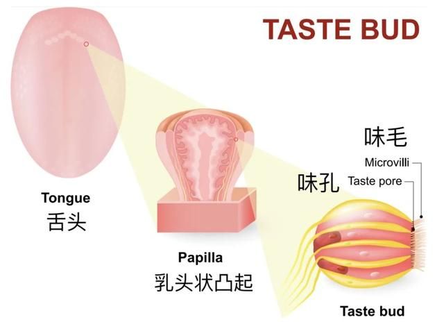 同时吃香蕉和枣，我看到了人生走马灯