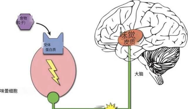 同时吃香蕉和枣，我看到了人生走马灯