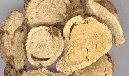 杀虫燥湿的中药(苦参燥湿散使用说明)图1