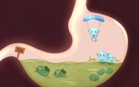 益生菌的作用与功效哪个牌子好
