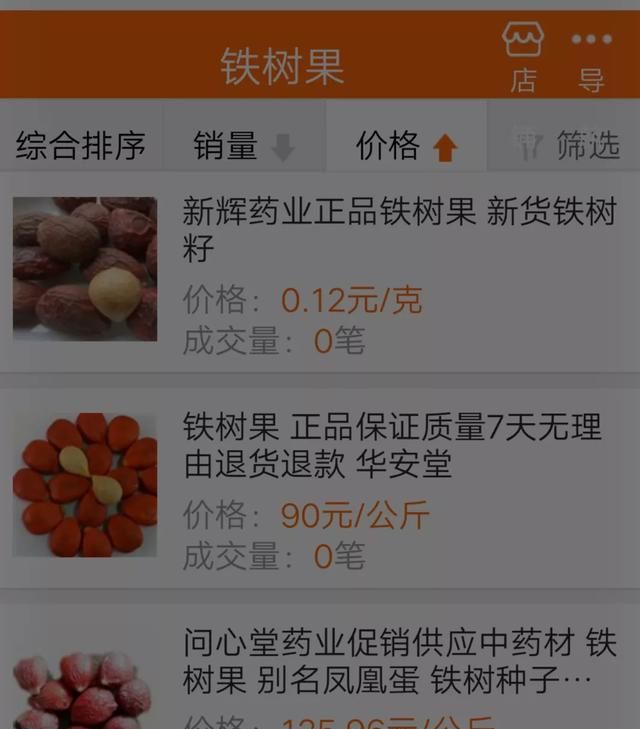 铁树果子可以吃吗,铁树果子挂件做法图6