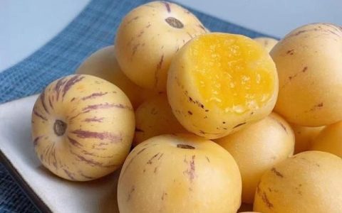 人参果传说中的功效