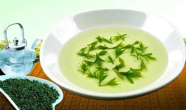 “小叶苦丁茶”究竟有什么能耐火爆全茶界？