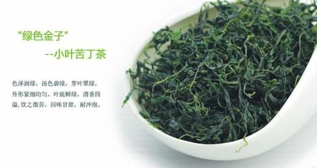 “小叶苦丁茶”究竟有什么能耐火爆全茶界？