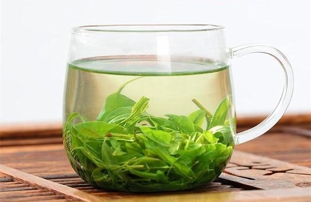 “小叶苦丁茶”究竟有什么能耐火爆全茶界？