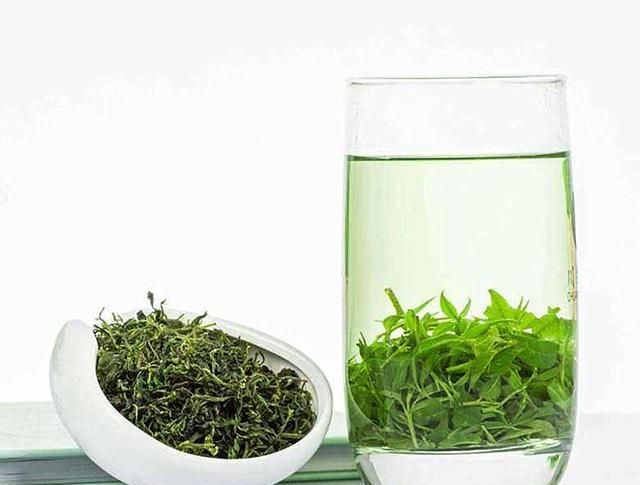 “小叶苦丁茶”究竟有什么能耐火爆全茶界？