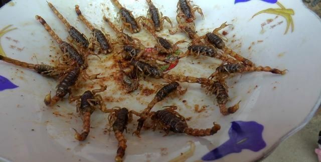 在农村,自己捉了一点蝎子,有哪些吃法呢图6
