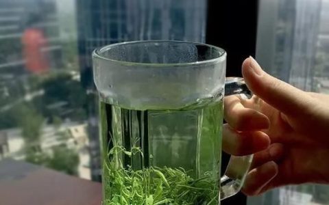 绞股蓝有什么功效(绞股蓝茶功效作用)
