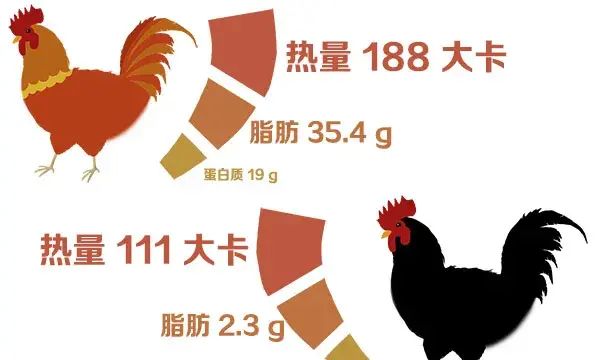 乌鸡真的比普通鸡更补身体吗？为何外国人不爱吃乌鸡？告诉你真相