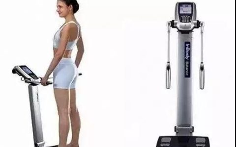 怎么计算减肥要吃多少脂肪