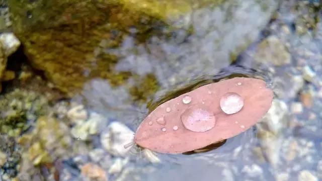 白露降，寒蝉鸣，营养师们都在吃的“二黄二红”是啥？