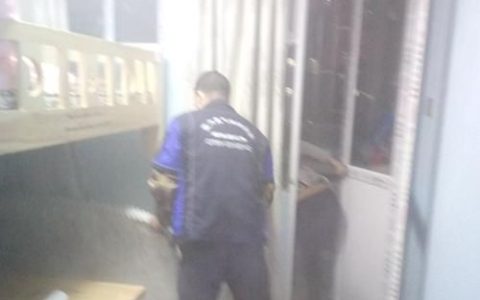 室内空气净化项目招标,室内净化空气四季常青绿植