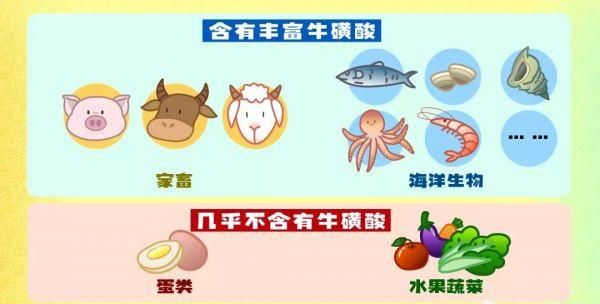 牛磺酸的作用与功效图4