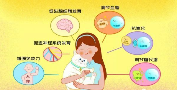 牛磺酸的作用与功效图5