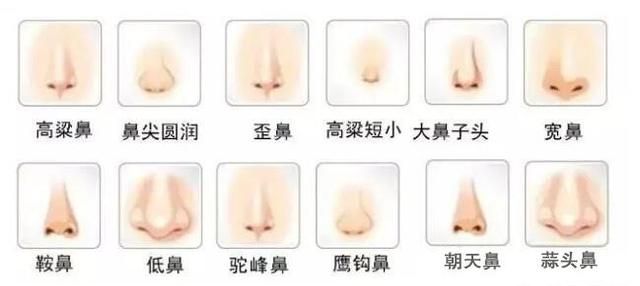 宝宝相貌是遗传谁的(宝宝眼睛大小遗传谁的)图3