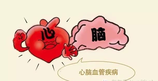 一味中药可防治心脑血管病 中老年一定要知道它 人人吃得起