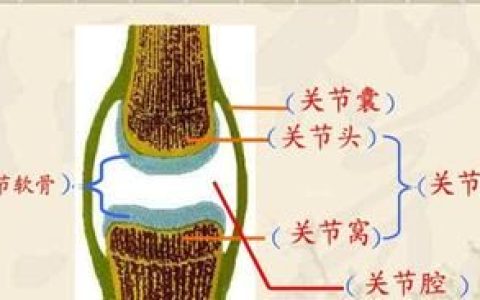 氨糖软骨素钙片哪种牌子疗效好(氨糖软骨素钙片哪个牌子比较好)