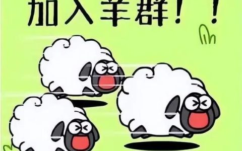 弄了个羊