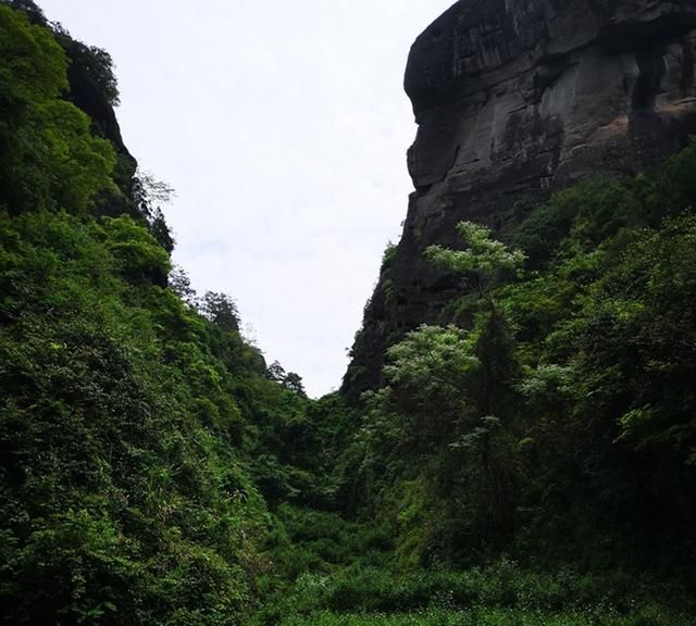 茶味浓的有哪些口粮茶推荐,什么牌子的口粮茶比较浓图5