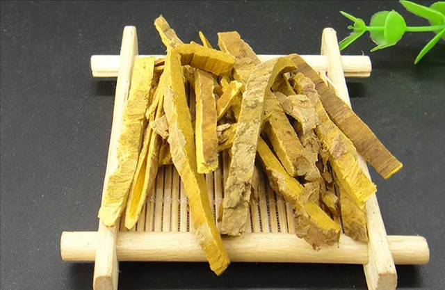 每日一味抗癌中药——黄柏，功效清热解毒、泻火燥湿，组方应用多