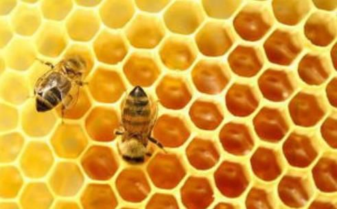 糖尿病人能吃蜂胶吗(吃蜂胶2个月查出糖尿病)图3