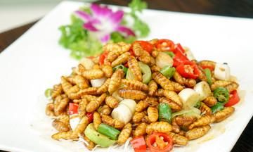 哪个地方的人最爱吃马蜂蛹,野外美食之马蜂蛹图3