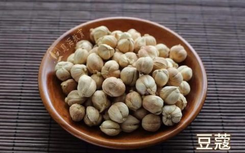 每天学习一味中药豆蔻