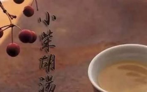 有人可以分享一下使用小柴胡汤的经验吗