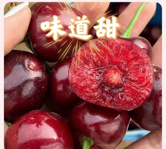 优秀水果大分享——钙果，它到底有什么优点，为什么能卖这么贵？