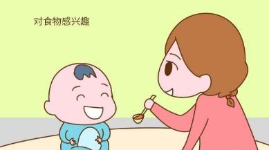 如何给宝宝正确添加米粉和蛋黄辅食呢图3
