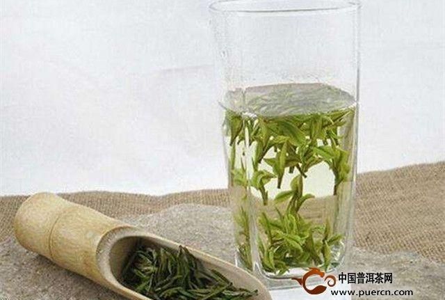喝白茶对身体有什么好处图1