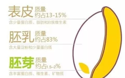 麦芽胚这个东西真的很好吗?有哪些功效