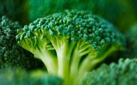 西兰花有什么功效,西兰花榨汁的功效