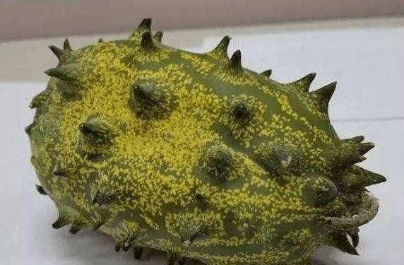 哪些水果你觉得奇葩又难吃图8
