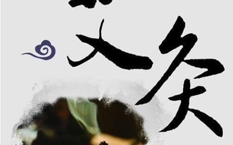 肚脐眼上艾灸有什么效果,脾胃虚寒艾灸肚脐眼效果怎么样呢