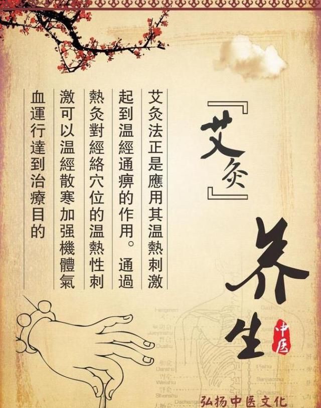 肚脐眼上艾灸有什么效果,脾胃虚寒艾灸肚脐眼效果怎么样呢图2