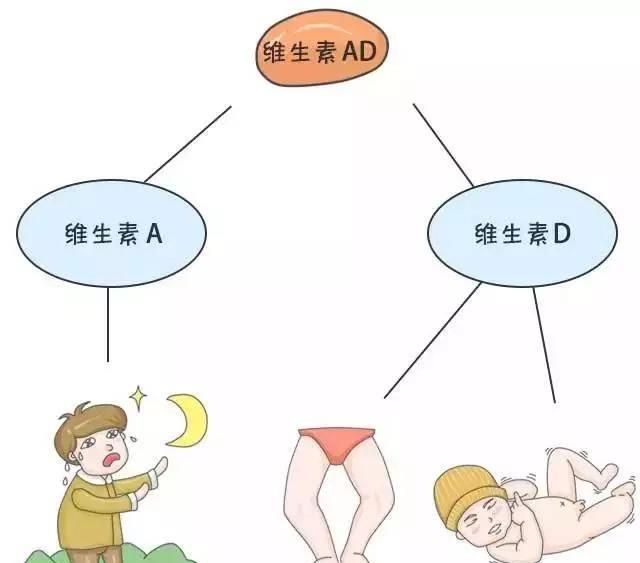 新生儿必须要服用维生素ad滴剂吗图2