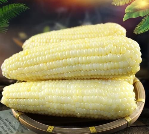 煮玉米怎么才能黏图5