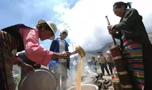 俄色叶茶—离太阳最近的茶香绽放