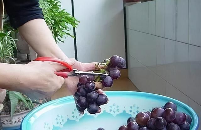 洗葡萄时，有人用面，有人用盐，老果农：都不对，这样洗才正确