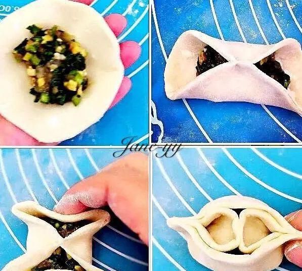 是饺子先动手的，我只负责包它（ 附26种包法）