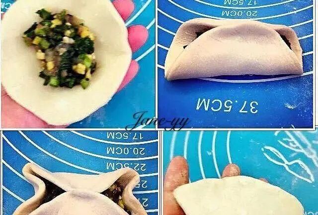 是饺子先动手的，我只负责包它（ 附26种包法）