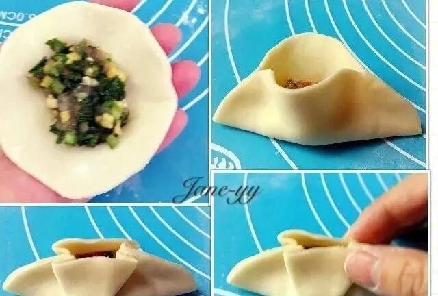 是饺子先动手的，我只负责包它（ 附26种包法）