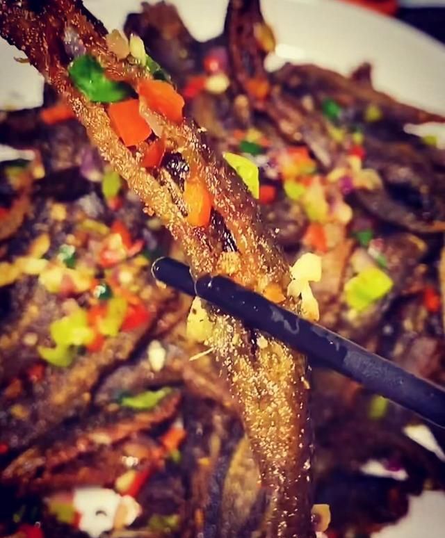泥鳅有什么营养与功效,海泥鳅与泥鳅的营养价值的区别图4