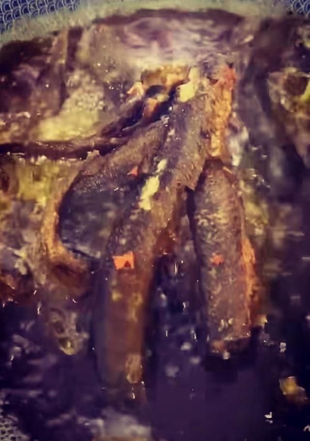 泥鳅有什么营养与功效,海泥鳅与泥鳅的营养价值的区别图14