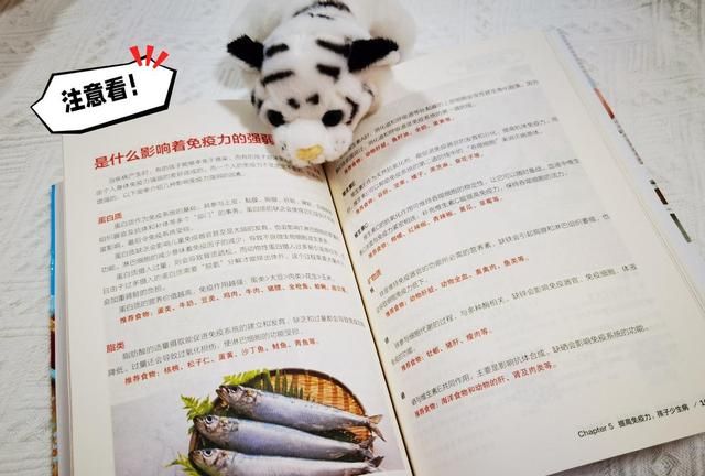 分享五份适合孩子的营养早餐，开学后做给娃吃，一周都不带重样的